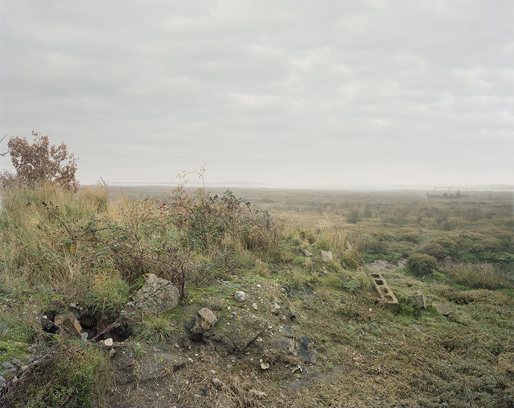 Collins_12_South_West_across_Stoke_Saltings_2012.jpg