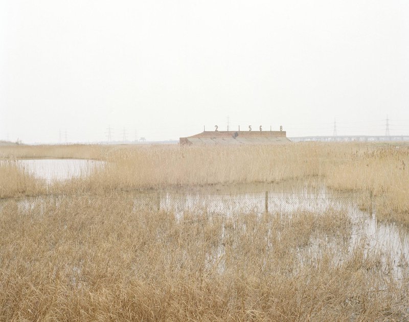 Frank Watson_Estuary 2.jpg