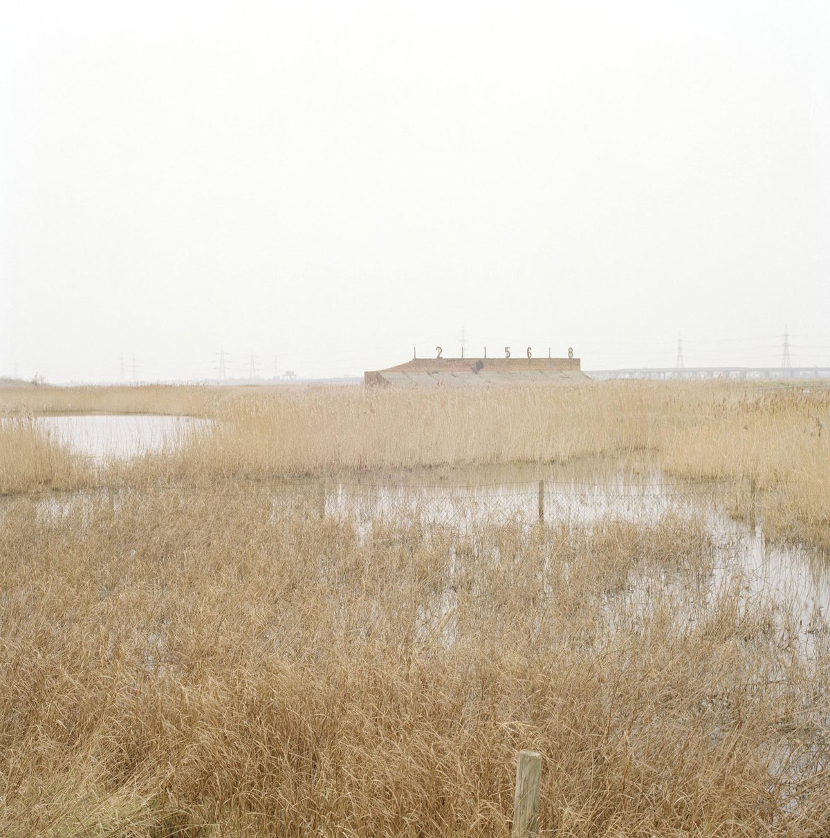 Frank Watson_Estuary 2.jpg