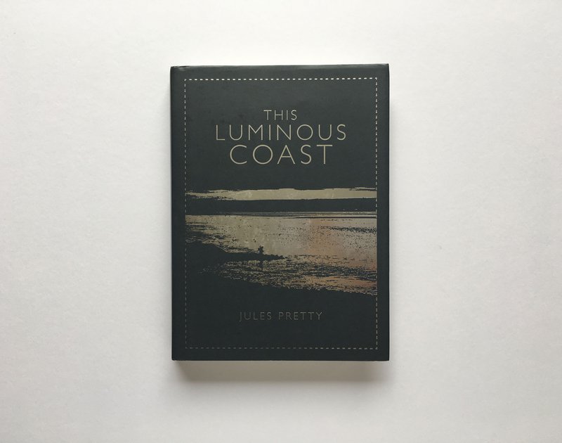 Luminous Coast 29.jpg